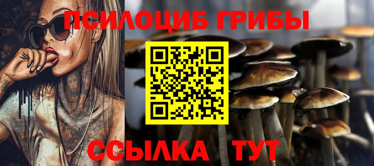 Псилоцибиновые грибы прущие грибы  купить наркотики цена  Луховицы  Вход с VPN 